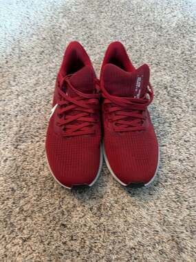 Nike Air Zoom Pegasus 39 University Red Men's Running Shoes DM0164-600